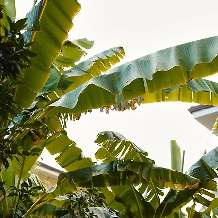 Numero 5 Guest house