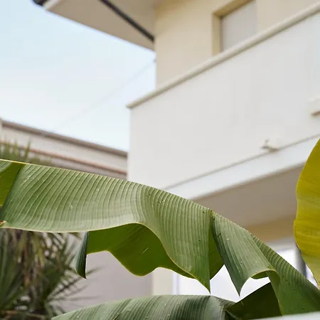 Numero 5 Guest house Francavilla Al Mare