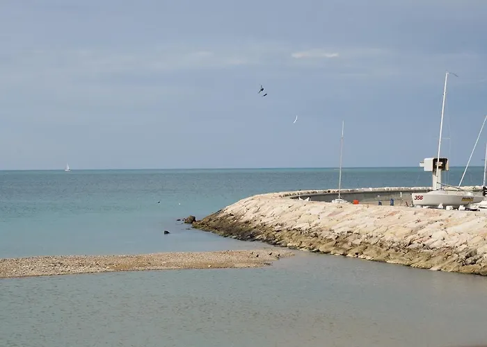 Numero 5 בית הארחה