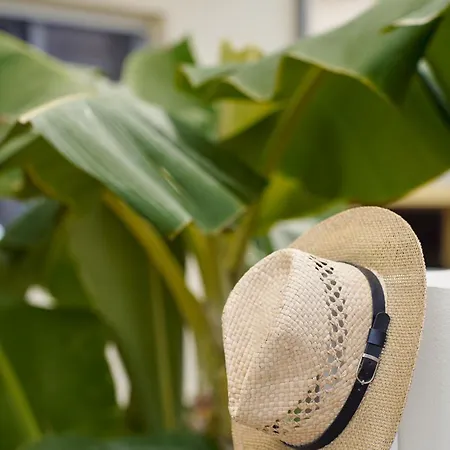 Numero 5 Гостевой дом