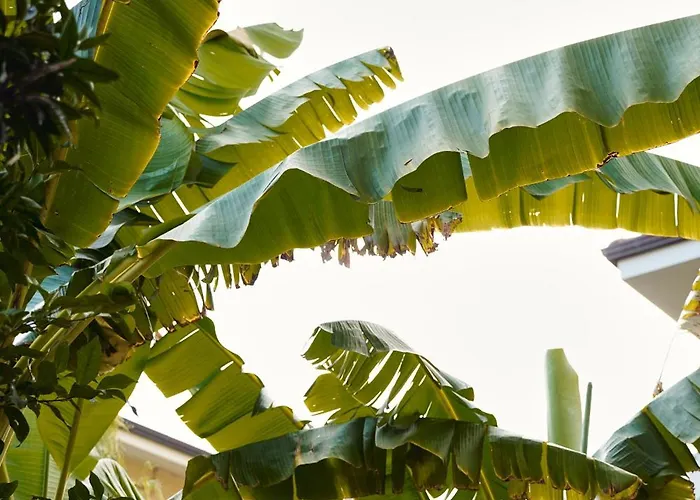 Numero 5 Vendégház