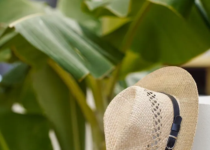 Numero 5 Vendégház