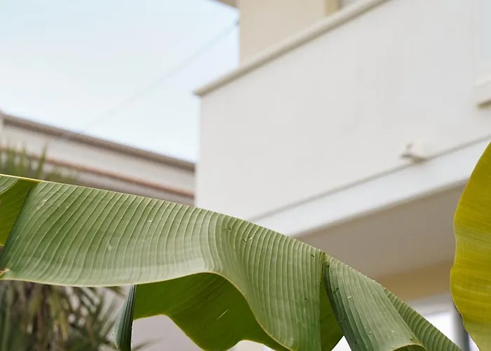 Numero 5 Vendégház Francavilla al Mare